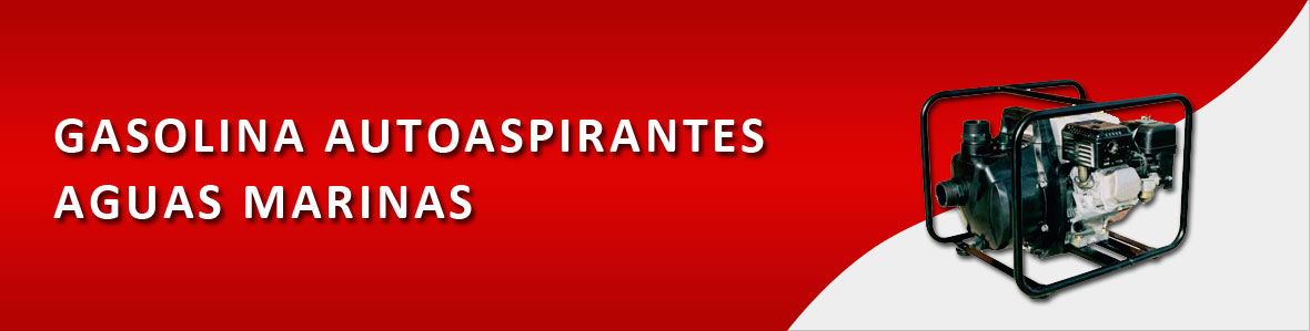 Banner Image2